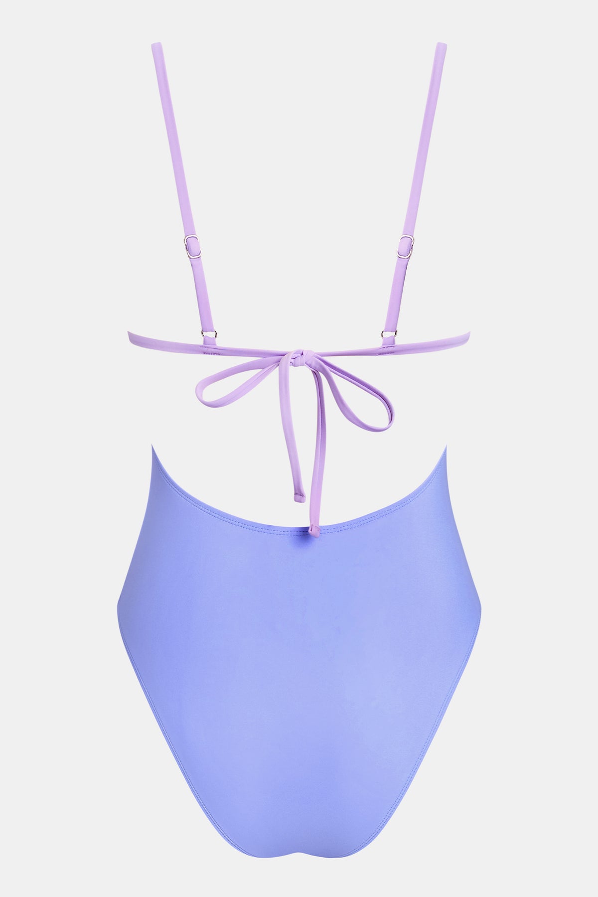 Bayfront Beauty Purple One-Piece Swimsuit