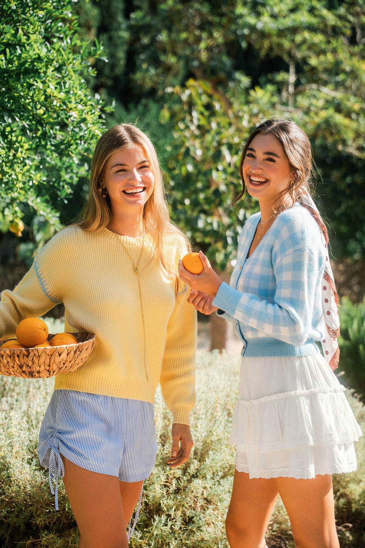Sunflower Field Yellow Sweater