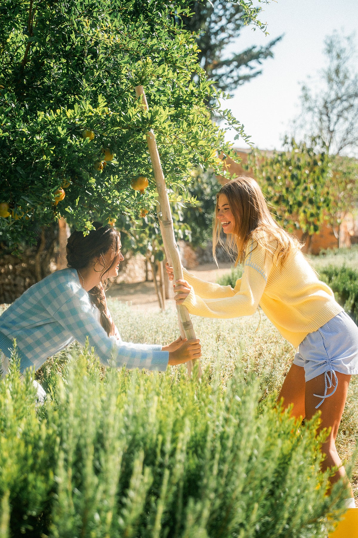 Sunflower Field Yellow Sweater